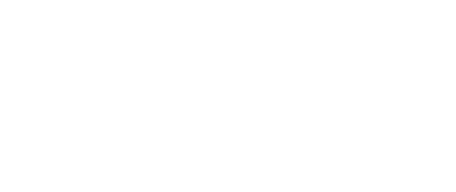Next Level Decor logo